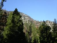 Sample Photo from Album Number 21