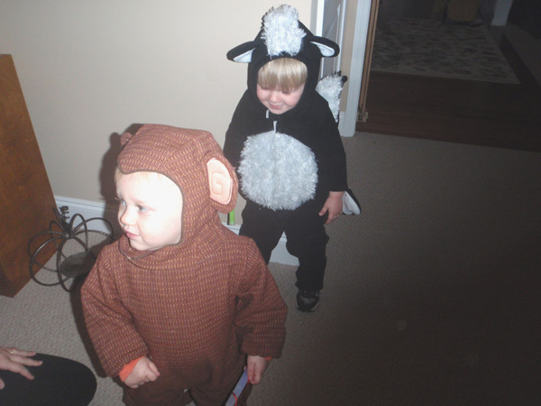 Photo Number 1419